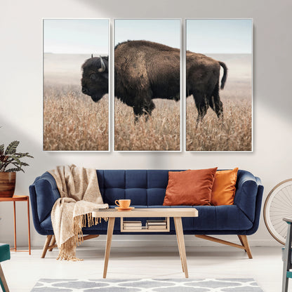 A lone bison stands in a vast prairie under a soft sky, evoking freedom and rustic charm for western or farmhouse inspired interiors.