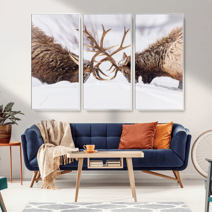 Two elk clashing antlers in a snowy forest, capturing raw power and wild energy, ideal for rustic cabin or lodge-style decor.