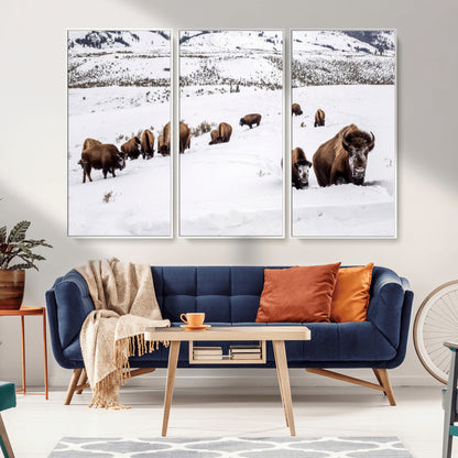 A herd of bison walking through deep snow in a mountain valley, perfect for rustic, cabin or western-themed wall decor.