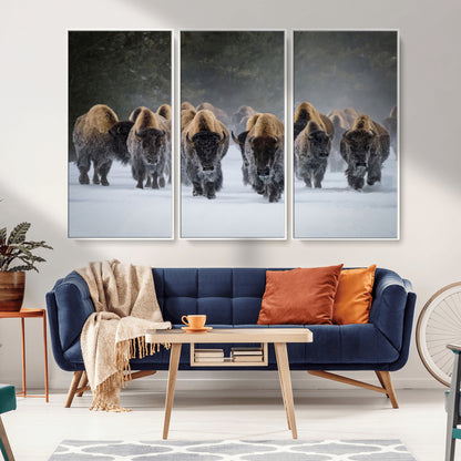 A herd of American bisons walking through deep snow in a forest, evoking a powerful rustic wilderness mood for western-style interiors.