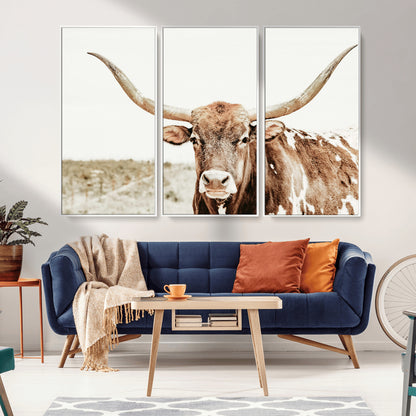 A Texas longhorn bull with wide horns, standing in a dry field under soft light, ideal for rustic farmhouse or western-themed interiors.