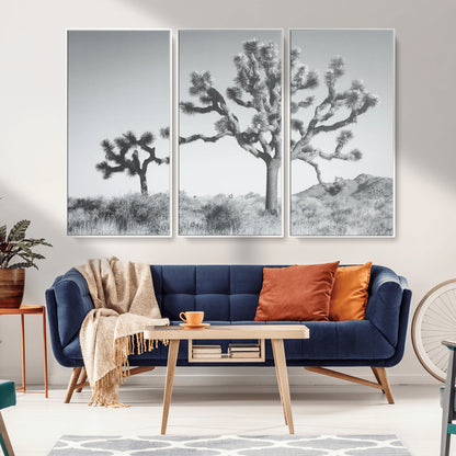 Black and white Joshua tree in a desert landscape with soft light and dry brush, perfect for rustic or minimalist home decor.