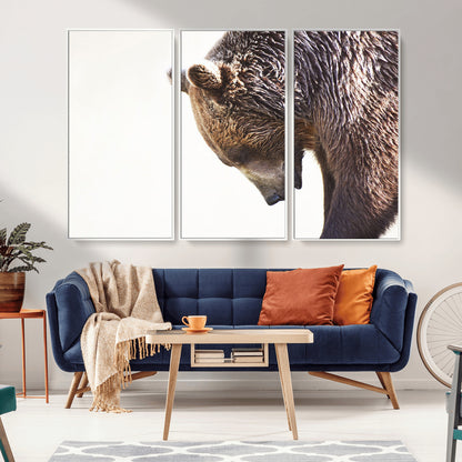 Majestic Bear Portrait - Capture the raw beauty of a bear in a detailed close-up, perfect for your Wall Art Canvas Print collection