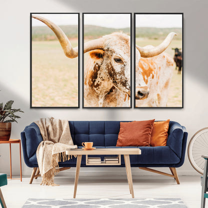Close-up of a speckled Texas Longhorn in warm prairie tones, perfect for rustic western or countryside-themed room decor.