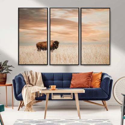 Bison Wall Art Print - Buffalo Canvas Print, featuring a lone bison in a golden prairie under a warm sunset sky, perfect for rustic and farmhouse decor.