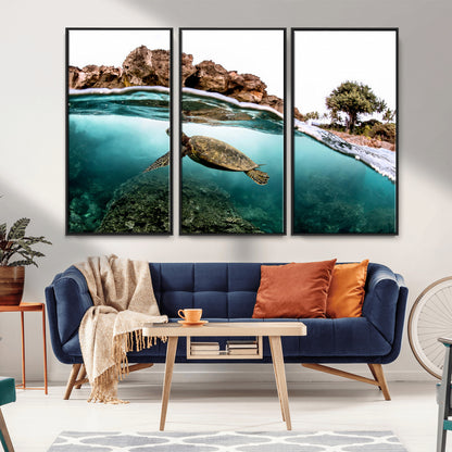Dynamic split-view photo of a sea turtle swimming near rocky shores, perfect for vibrant coastal or tropical beach home decor.