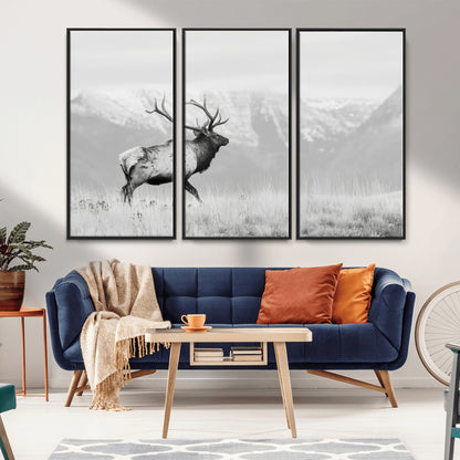 Black and white photograph of a majestic elk standing in a grassy field with snow-capped mountains in the background, creating a bold and rustic wilderness scene.