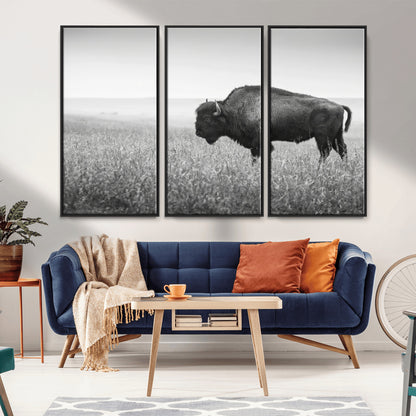 A black and white photograph of a majestic bison standing in a vast grassy prairie, evoking a sense of wilderness and strength.