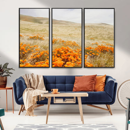 A golden field with vibrant orange poppies blooming across rolling hills under a soft, sunlit sky, creating a warm and rustic landscape.