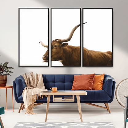 Minimal photo of a longhorn cow with white background, ideal for rustic, western or farmhouse-style interior decor.