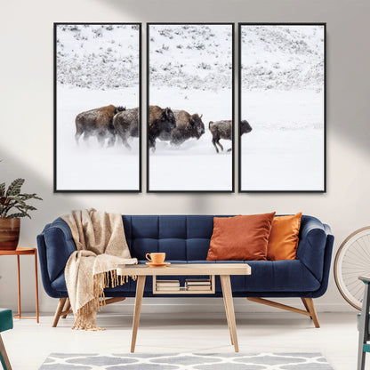 Bison herd running through a snowy open field with mountain backdrop, perfect for rustic or western-themed wall decoration.