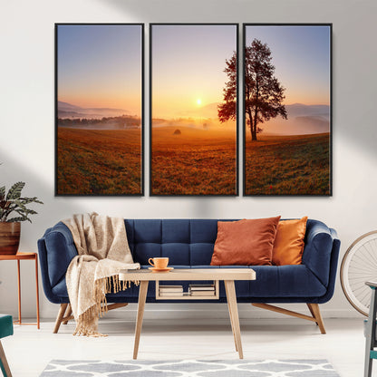 A tranquil landscape at sunrise with a mist-covered field and a lone tree, creating a peaceful and natural atmosphere.