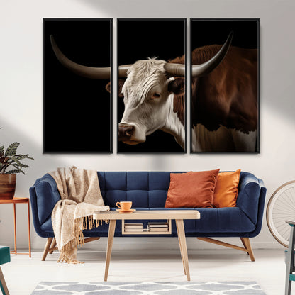 "Close-up of a brown and white longhorn cow with prominent curved horns against a black background."