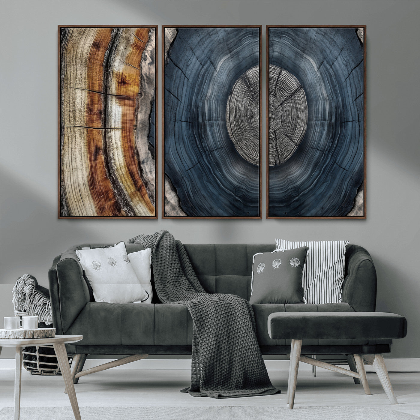 A stunning close-up of a tree trunk showing the intricate, circular growth rings, showcasing the natural textures and rich contrasts in deep blues, browns, and silvers.