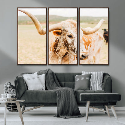 Close-up of a speckled Texas Longhorn in warm prairie tones, perfect for rustic western or countryside-themed room decor.
