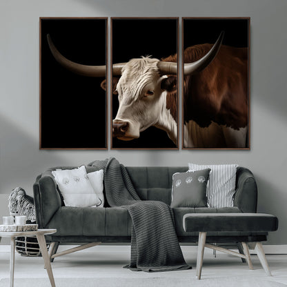 "Close-up of a brown and white longhorn cow with prominent curved horns against a black background."