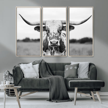 Capture the strength and elegance of nature with this striking black and white portrait of a longhorn cow. Its powerful presence makes a bold statement in any room.