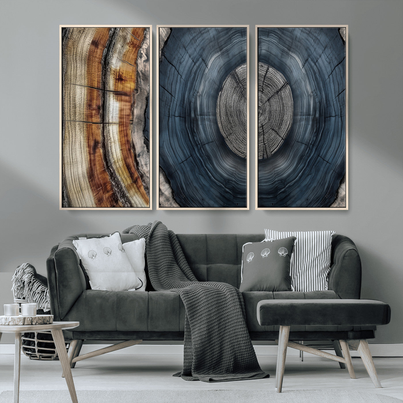 A stunning close-up of a tree trunk showing the intricate, circular growth rings, showcasing the natural textures and rich contrasts in deep blues, browns, and silvers.