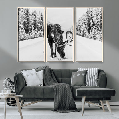 A majestic moose grazing in the snow-covered wilderness, surrounded by snow-covered trees, creating a peaceful winter scene.