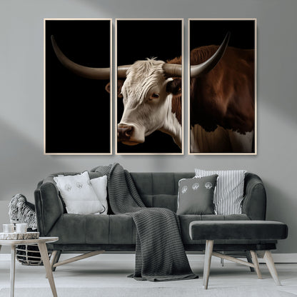 "Close-up of a brown and white longhorn cow with prominent curved horns against a black background."