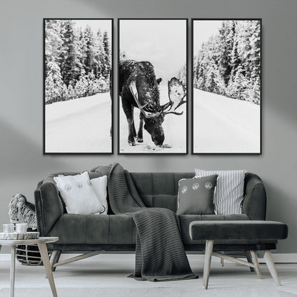 A majestic moose grazing in the snow-covered wilderness, surrounded by snow-covered trees, creating a peaceful winter scene.