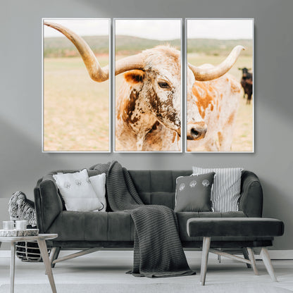 Close-up of a speckled Texas Longhorn in warm prairie tones, perfect for rustic western or countryside-themed room decor.