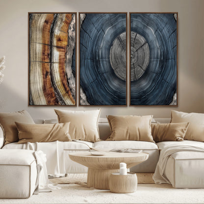 A stunning close-up of a tree trunk showing the intricate, circular growth rings, showcasing the natural textures and rich contrasts in deep blues, browns, and silvers.