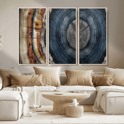 A stunning close-up of a tree trunk showing the intricate, circular growth rings, showcasing the natural textures and rich contrasts in deep blues, browns, and silvers.