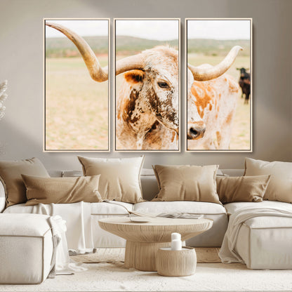 Close-up of a speckled Texas Longhorn in warm prairie tones, perfect for rustic western or countryside-themed room decor.