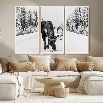 A majestic moose grazing in the snow-covered wilderness, surrounded by snow-covered trees, creating a peaceful winter scene.
