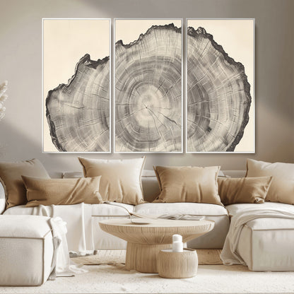 Detailed tree ring drawing in monochrome tones, ideal for rustic or nature-inspired interiors with a minimal decor aesthetic.