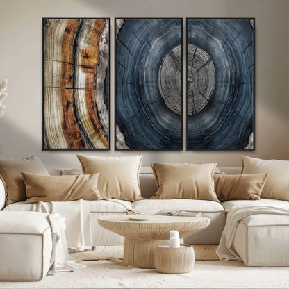 A stunning close-up of a tree trunk showing the intricate, circular growth rings, showcasing the natural textures and rich contrasts in deep blues, browns, and silvers.