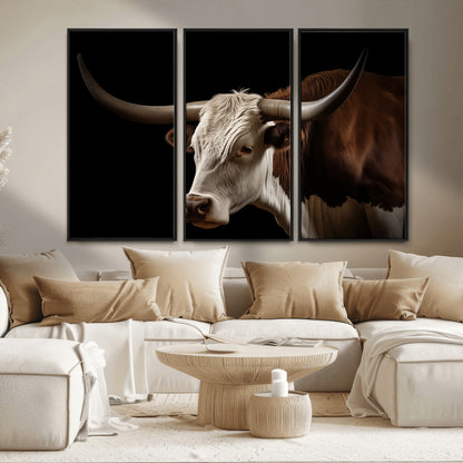 "Close-up of a brown and white longhorn cow with prominent curved horns against a black background."