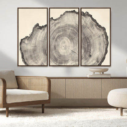 Detailed tree ring drawing in monochrome tones, ideal for rustic or nature-inspired interiors with a minimal decor aesthetic.