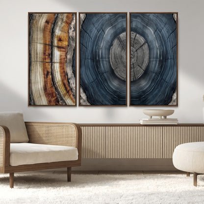 A stunning close-up of a tree trunk showing the intricate, circular growth rings, showcasing the natural textures and rich contrasts in deep blues, browns, and silvers.