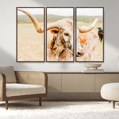 Close-up of a speckled Texas Longhorn in warm prairie tones, perfect for rustic western or countryside-themed room decor.