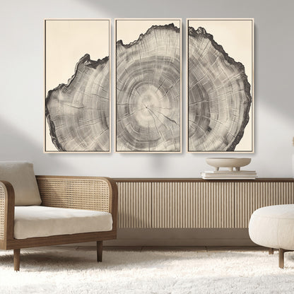 Detailed tree ring drawing in monochrome tones, ideal for rustic or nature-inspired interiors with a minimal decor aesthetic.