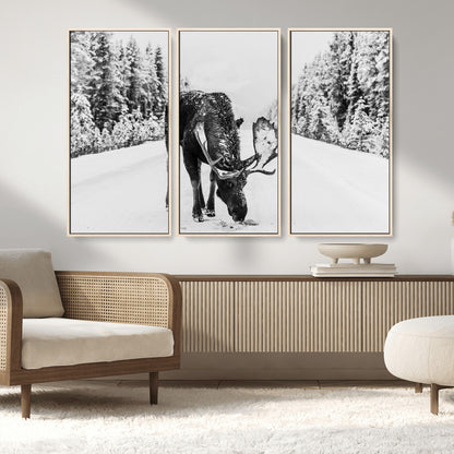 A majestic moose grazing in the snow-covered wilderness, surrounded by snow-covered trees, creating a peaceful winter scene.