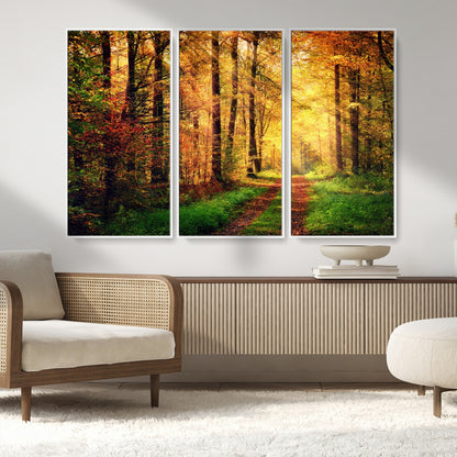 73494-MGV-FC-48X32-3P_White-Golden Autumn Forest Path Wall Art – Sunlit Woodland Canvas Print, Fall Nature Landscape Home Decor