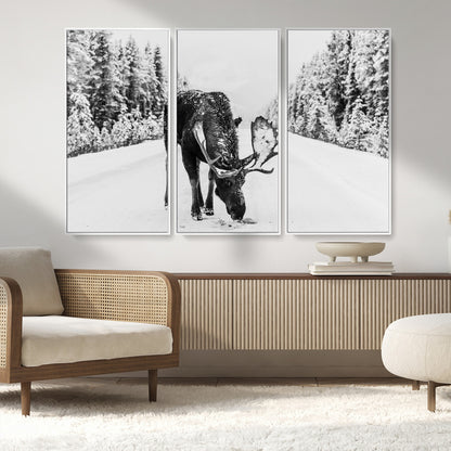 A majestic moose grazing in the snow-covered wilderness, surrounded by snow-covered trees, creating a peaceful winter scene.