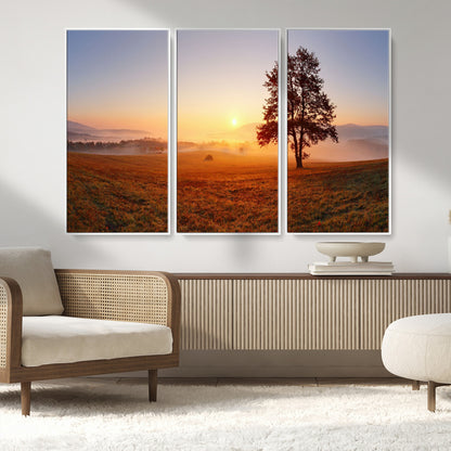 A tranquil landscape at sunrise with a mist-covered field and a lone tree, creating a peaceful and natural atmosphere.