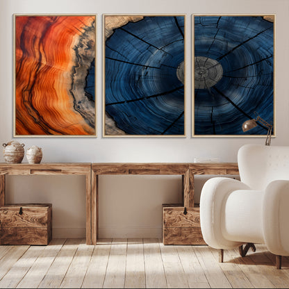 A captivating close-up of a tree trunk, showcasing its concentric rings in rich shades of blue, orange, and brown, highlighting the organic patterns of natural wood.
