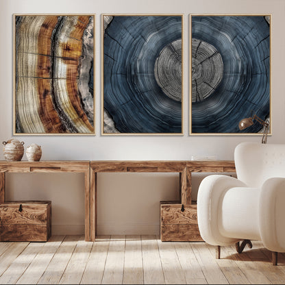 A stunning close-up of a tree trunk showing the intricate, circular growth rings, showcasing the natural textures and rich contrasts in deep blues, browns, and silvers.
