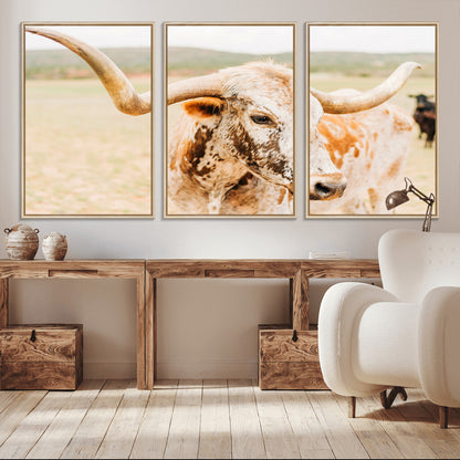 Close-up of a speckled Texas Longhorn in warm prairie tones, perfect for rustic western or countryside-themed room decor.