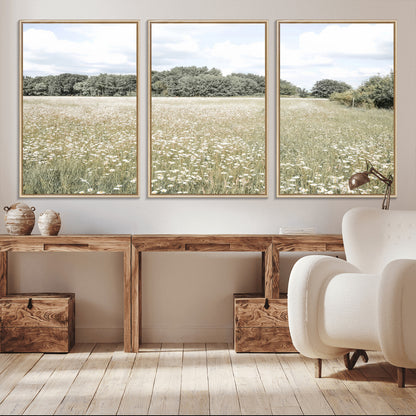 Soft-toned image of a wild daisy field under a cloudy sky, ideal for neutral or Scandinavian-inspired home decor.