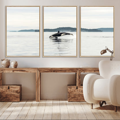 An orca jumping out of calm ocean waters with a misty island in the background, creating a serene and minimalist marine wildlife scene.