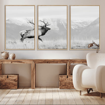 Black and white photograph of a majestic elk standing in a grassy field with snow-capped mountains in the background, creating a bold and rustic wilderness scene.