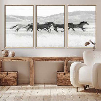 A black and white image of wild horses running freely across an open grassland, capturing the power and beauty of untamed nature in a rustic western setting.