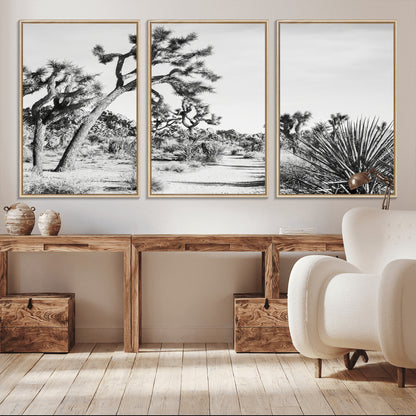 Canvas of a Joshua Tree forest in black and white tones, featuring a desert path and spiky vegetation, ideal for minimalist or rustic decor.