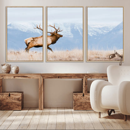 An elk walking on snowy grassland with majestic mountains in the background, ideal for rustic lodge or cabin wall decor.
